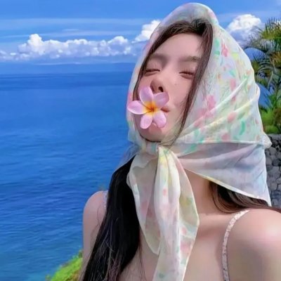 生人勿进(美版)